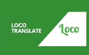 O que é Loco Translate?